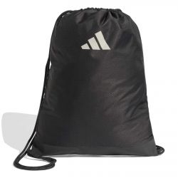Sac Audi F1 Team