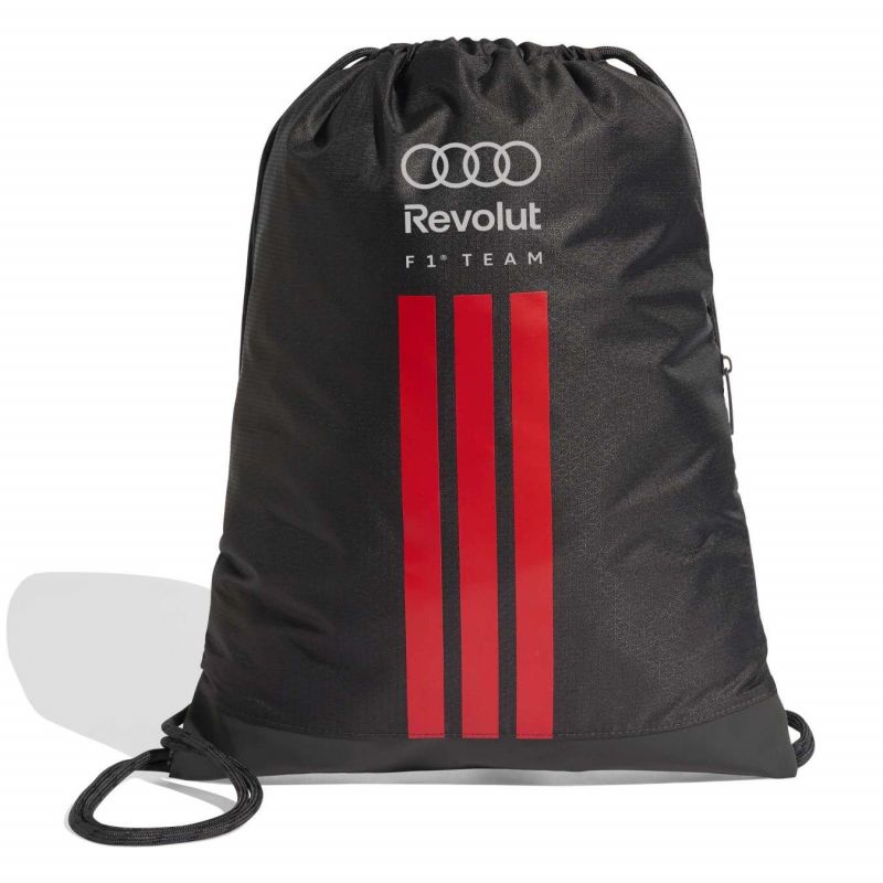 Sac Audi F1 Team