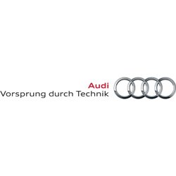 READCLY-Clip de pare-soleil pour Audi A3 A4 A5 A6 pare-soleil clip crochet  support