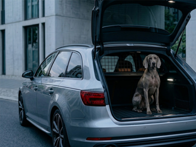 Sécurité chien en voiture : Pourquoi choisir une grille ou un tapis de coffre Audi ?